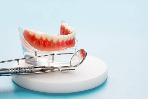 Best Dental Fillings (Composite and Amalgam)  in Urbana, IL